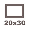 20x30