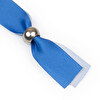 Justerbar (silver)