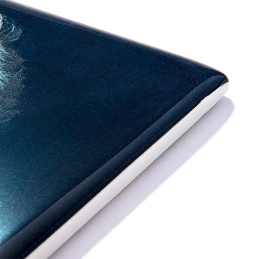 foto-nicho-sin-marco-rect-20x25-personalizado