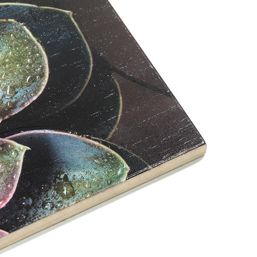 foto-en-madera-30x40