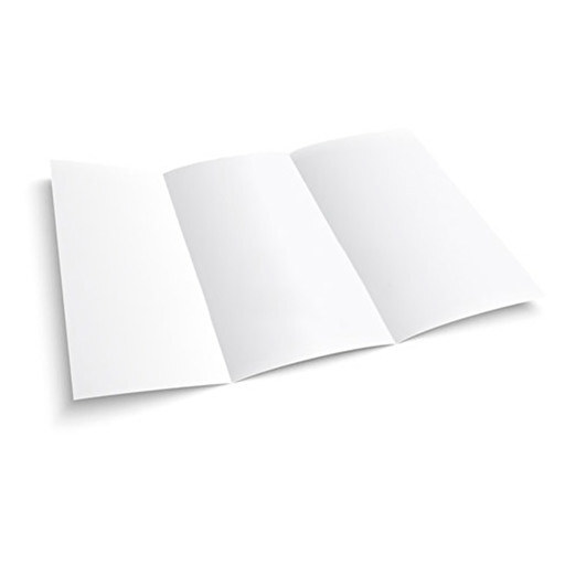 folleto-triptico-sra3-pack-x100-personalizado