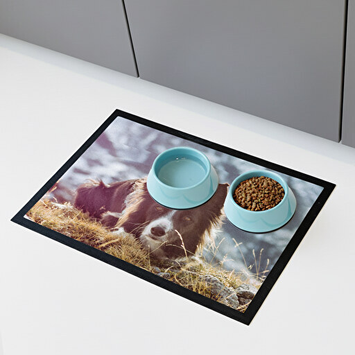 alfombra-personalizada-comedero-perro-gato