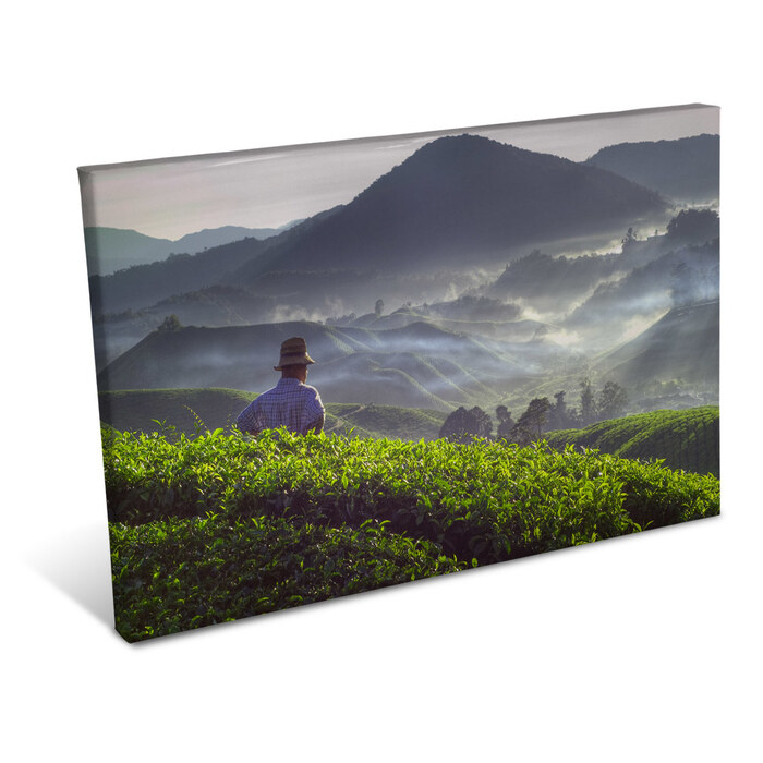 Foto lienzo 40x60
