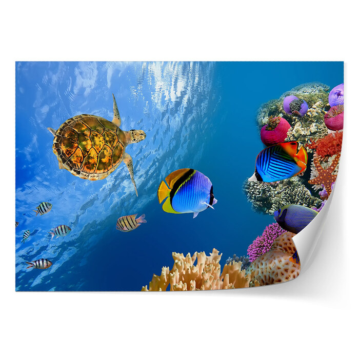 Foto Póster 75x100