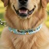 collar-de-perro-personalizado