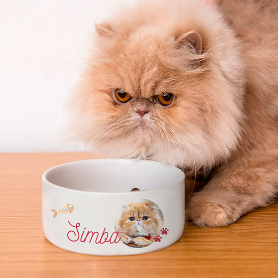 Personalised bowl for cats