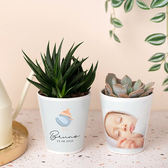 Gift personalised plant pots