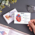 Personalised flashcards and revision cards