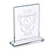 Trofeo personalizado rectangular de cristal