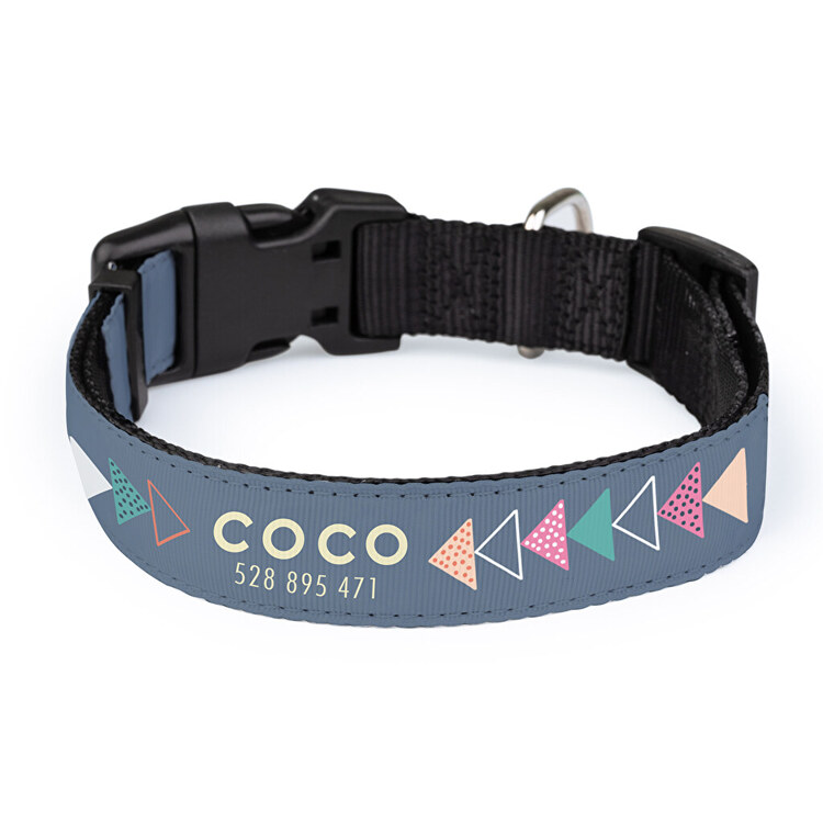 personalised pet collars
