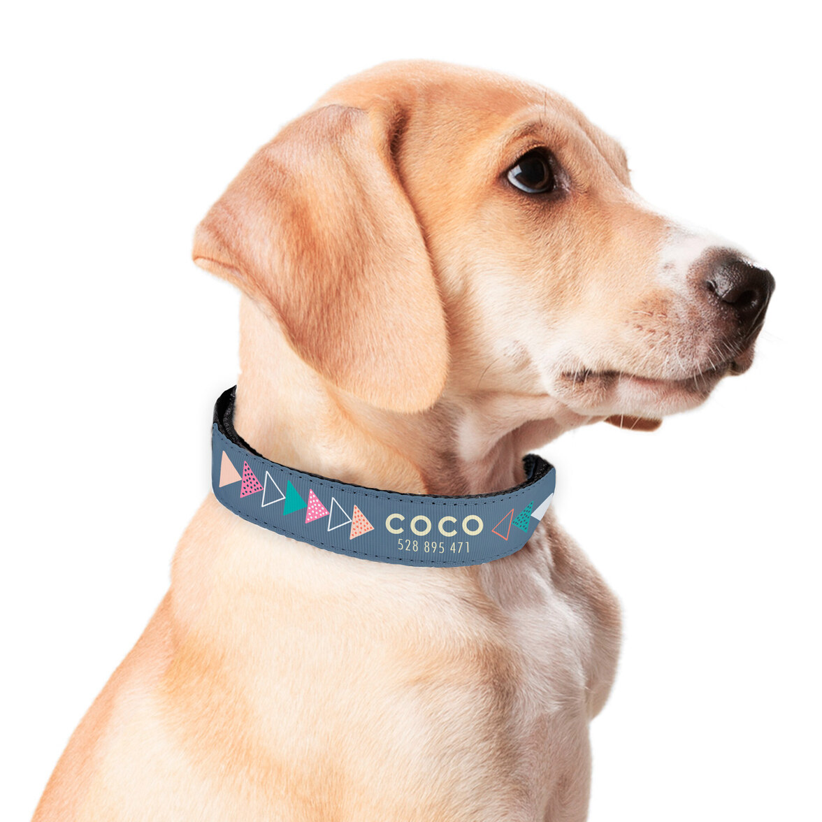 Didog Personalisiertes Hundehalsband Mit Gravur – Aus Nylon & Baumwolle, Mit Schnellverschluss – Für Kleine Bis Große Hunde