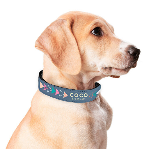 constantemente Húmedo jazz Collar perro personalizado | Wanapix