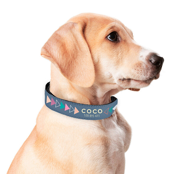 Collar perro personalizado