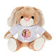 Coelho de peluche personalizado