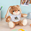 Personalised bunny teddy