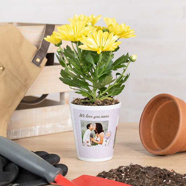 Lag en personlig blomsterkrukke med foto Lag en personlig blomsterkrukke med foto