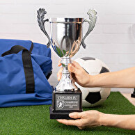 Large trophy cup