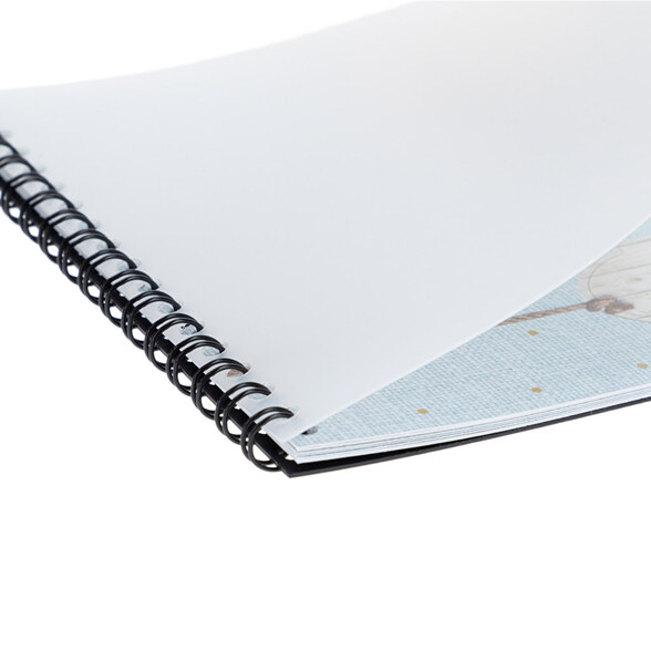 Eco album