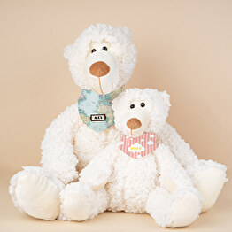 personalised gifts teddy bears