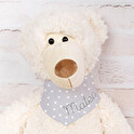 Osito de peluche 40 cm. con bandana personalizada