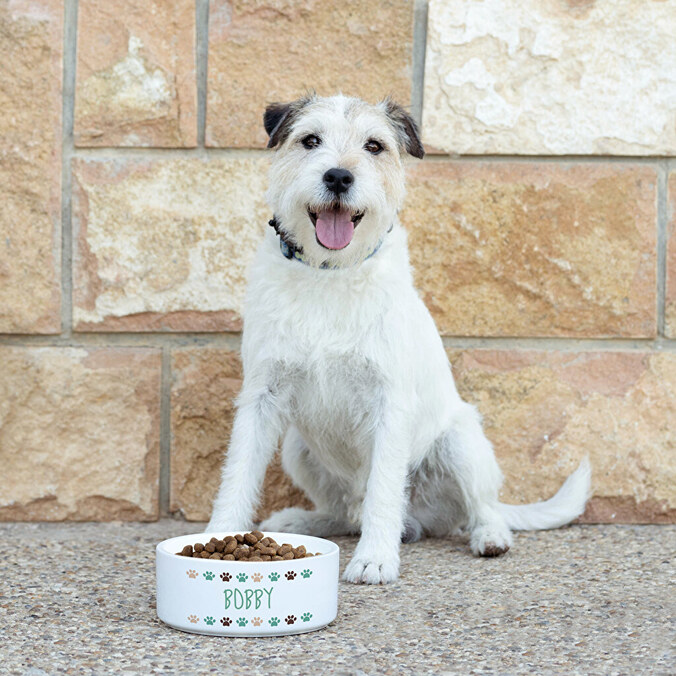 Misky pro psy a kočky s potiskem