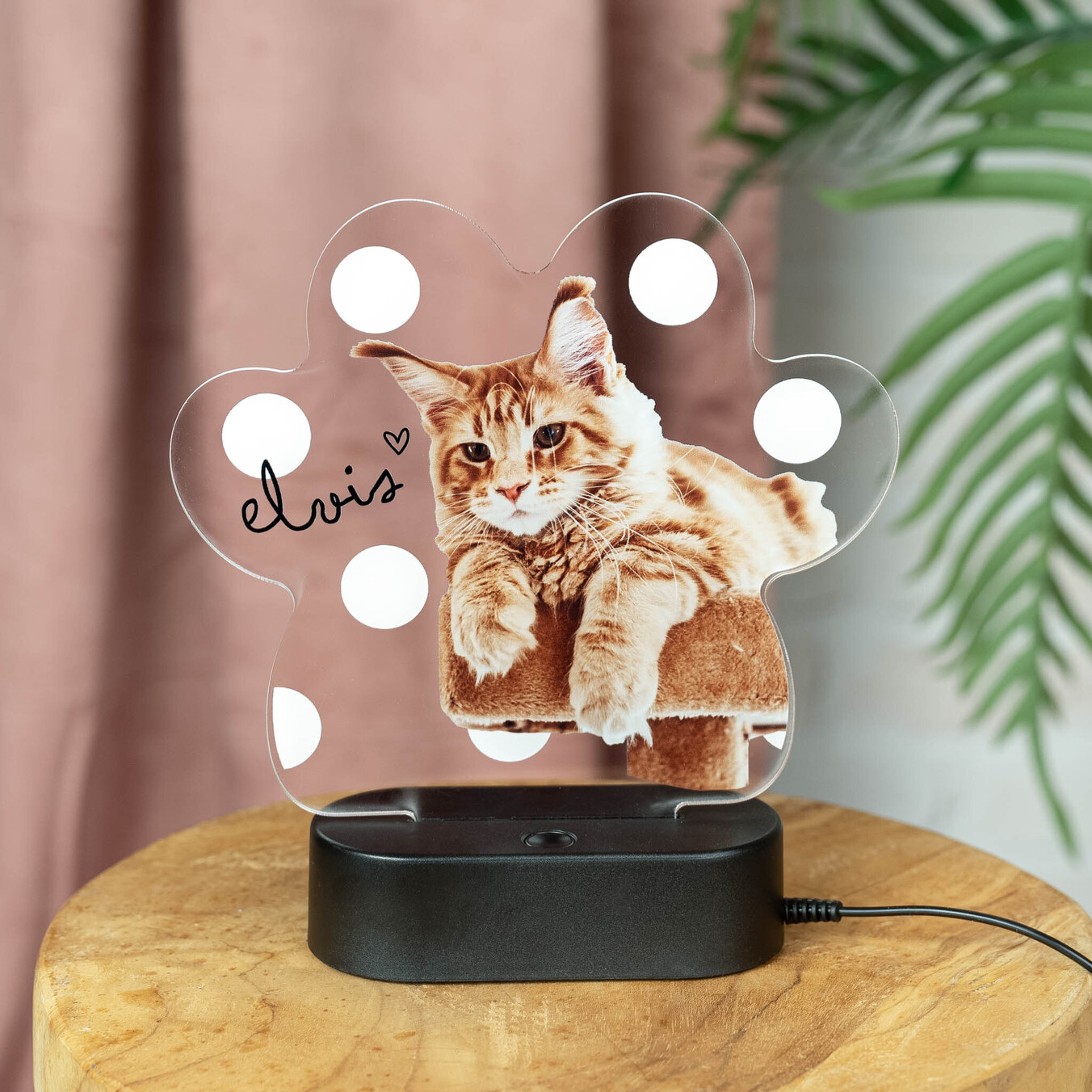 Personalisierte 3D Lampe Holz Pfotenabdruck