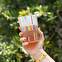 Vaso personalizado reutilizable de plástico 500 ml.