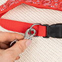 Bandana personalizzata per cani