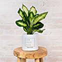 Blumentopf personalisiert mit Foto