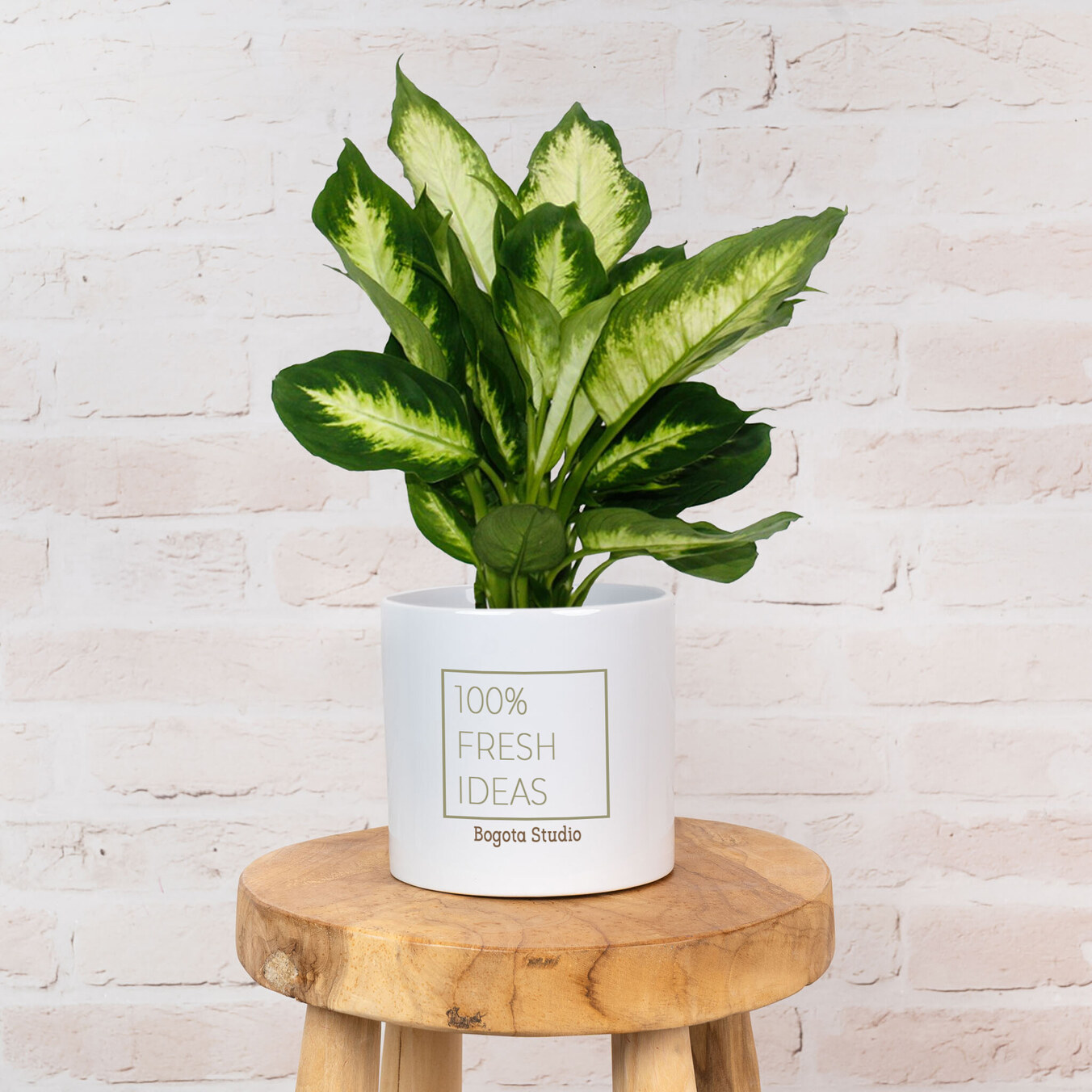 Blumentopf personalisiert mit Foto