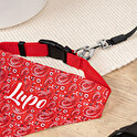 Personalised bandana scarf for dogs