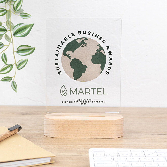 Trophée personnalisé en méthacrylate avec base en bois Trophée personnalisé en méthacrylate avec base en bois