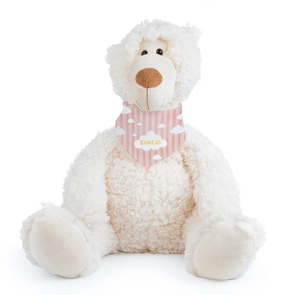 Personalised teddy bear 25 cm 