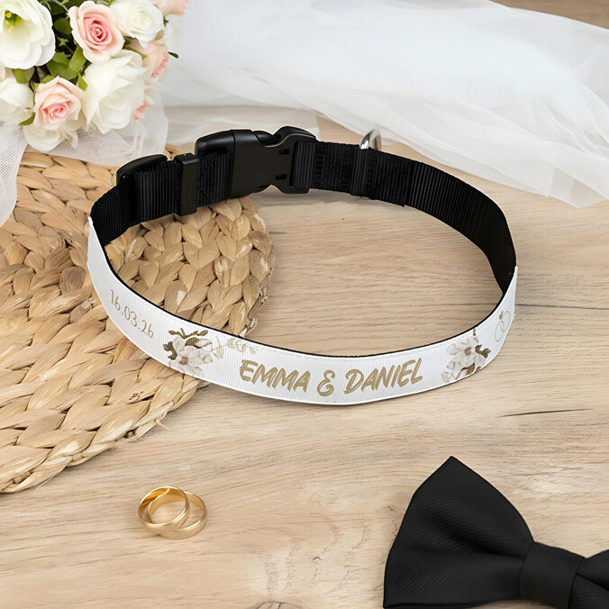 Collar perro personalizado