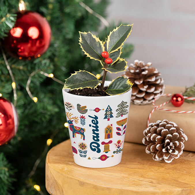 Personalised plant pots for flowers