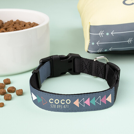 Personalised dog collar with name and images
