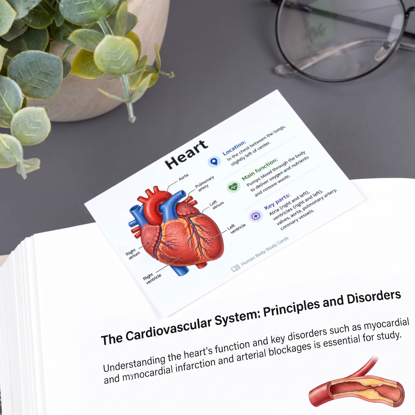 Personalised flashcards and revision cards