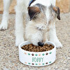 Comederos personalizados para perros y gatos