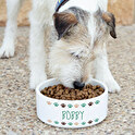 Ciotole personalizzate per cani e gatti