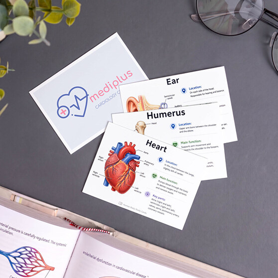 Vytvořte si vlastní flashcards a studijní kartičky