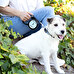 Personalised dog leash