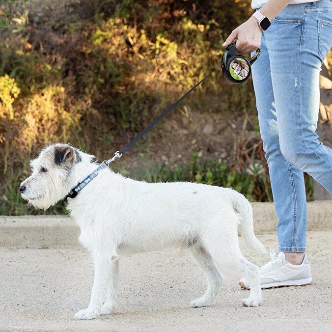 Personalised dog leash