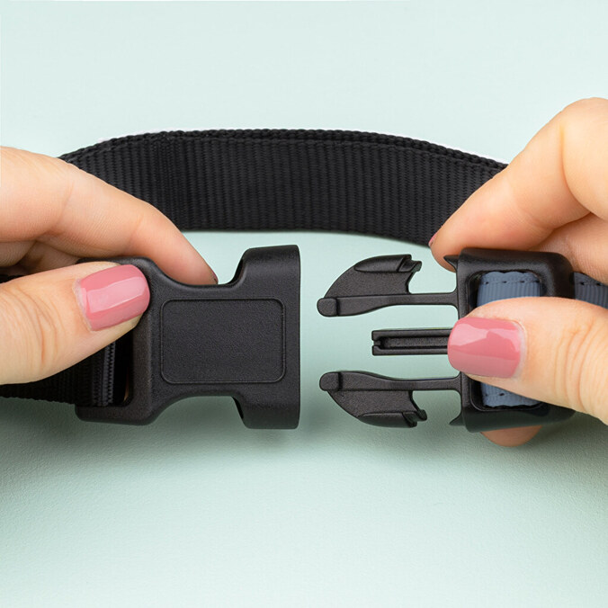 Personalizowana obroża dla psa