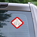 Stickers voiture personnalisé