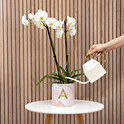 Blumentopf personalisiert mit Foto