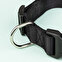 Koiran kaulapanta omalla nimellä