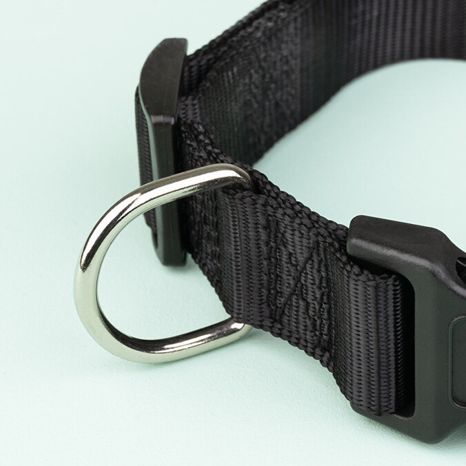 Hundehalsbånd med navn og design