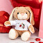 Coniglietto di peluche personalizzato