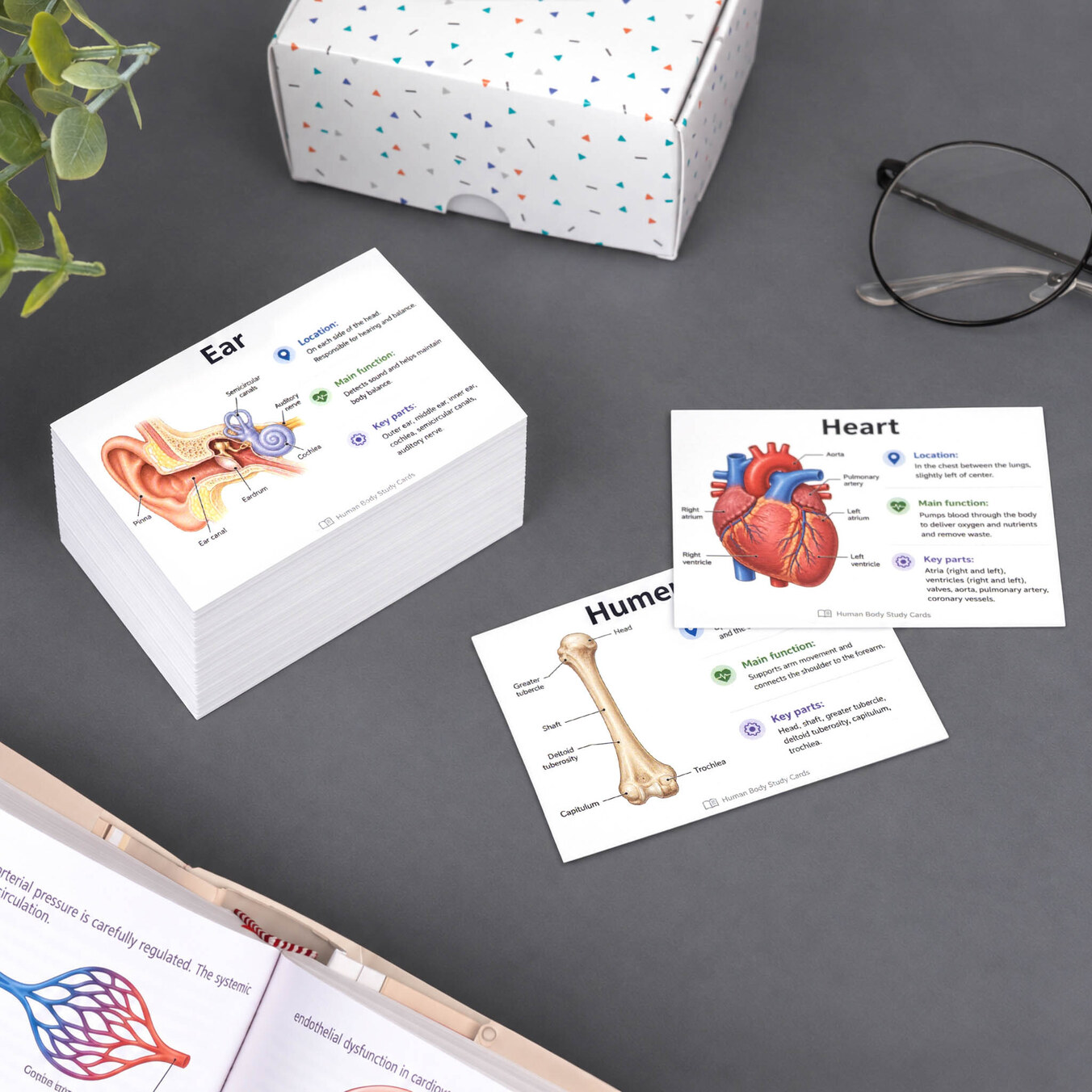 Personalised playing cards
