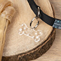 Personalised dog tags engraved